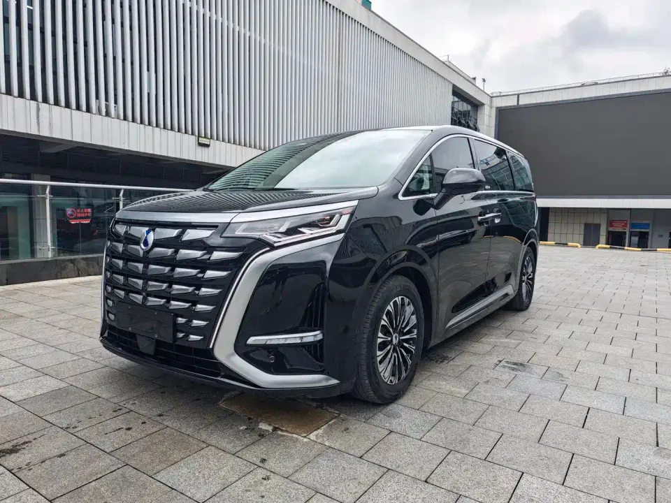 Denza D9 PIONEER 4-Seater Pioneer Edition 2024