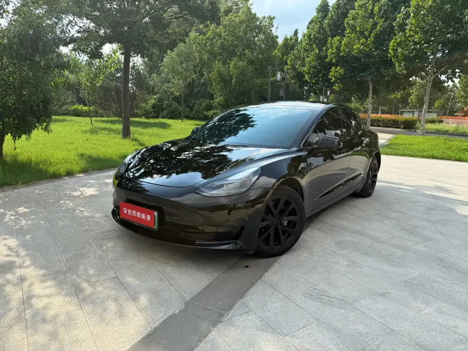 Tesla Model 3 Standard Range Rear-Wheel Drive Upgrade 2021