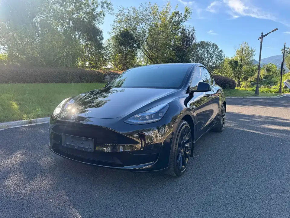 Tesla Model Y Rear-Wheel Drive Version 2023