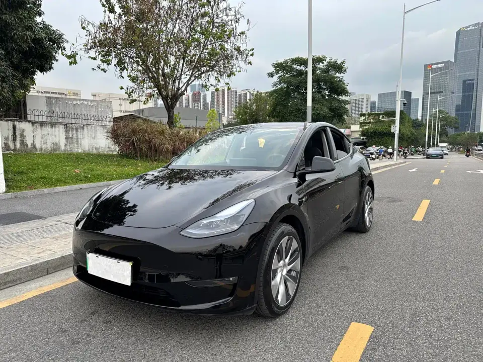 Tesla Model Y Long Range All-Wheel Drive 3D7 2021
