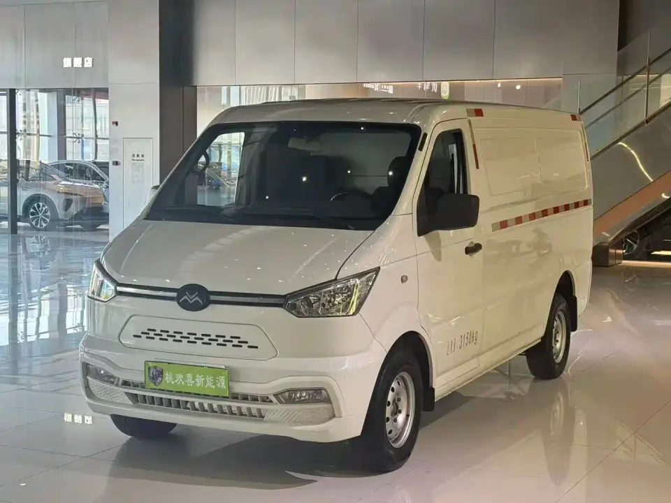 Singulato Gonow Shuai Ling Standard Range 41.64kWh Lishen Power 2023
