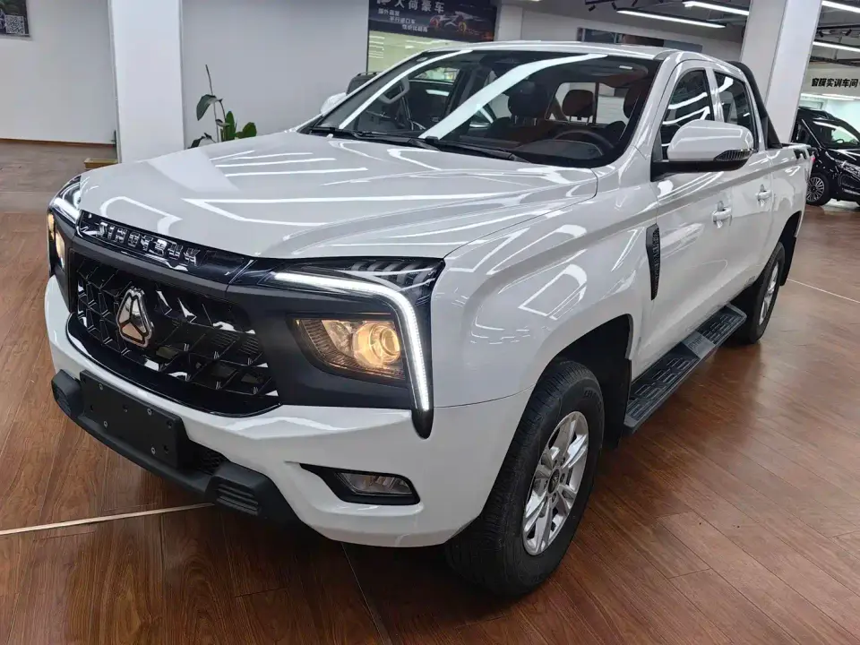 Sinotruk Bosheng Commercial 2.0T Automatic Diesel 4WD Long Wheelbase Luxury Edition 2025