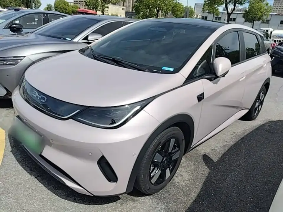 BYD Dolphin Smart Drive Edition 410km Fashion Version 2025