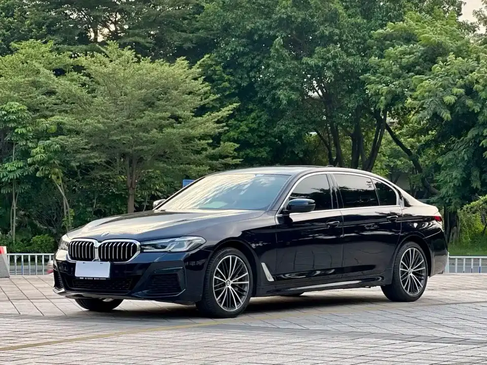 BMW 5 Series 530Li Leading M Sport Package 2021