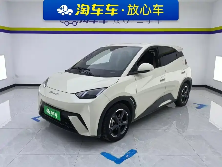 BYD Seagull Freedom Edition 2023