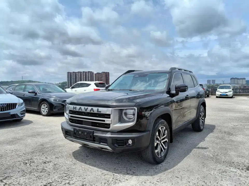 Haval Big Dog 1.5T DCT Border Collie Edition 2023
