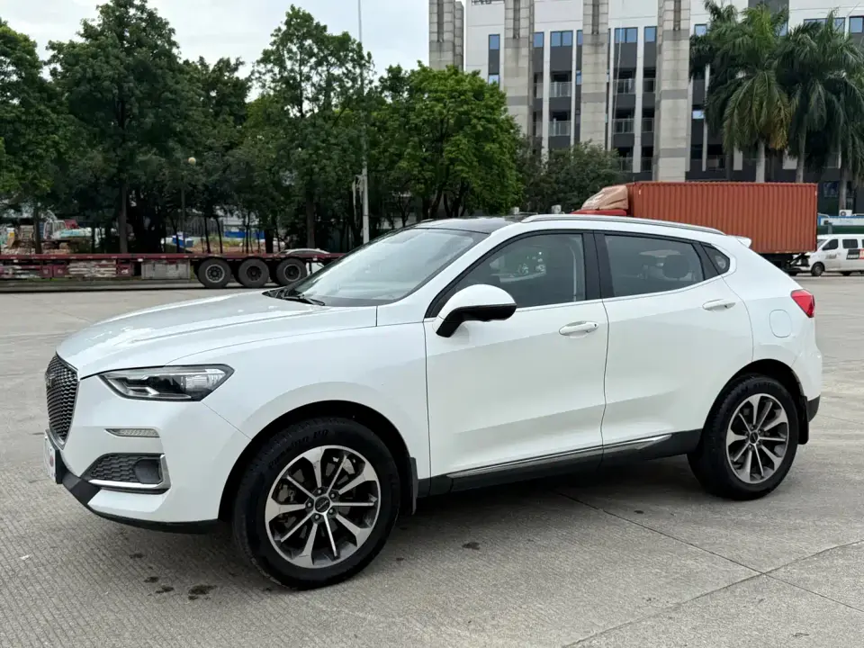 Haval F5 National Trend Edition 1.5T iTrend China VI 2019