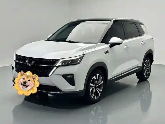 Wuling Motors Wuling Xingchen 2.0L DHT Electric Speed Edition 2024
