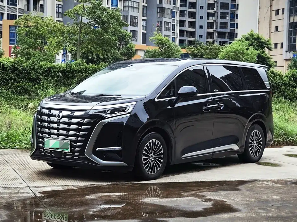 Denza D9 DM-i 1050 Premium 2024