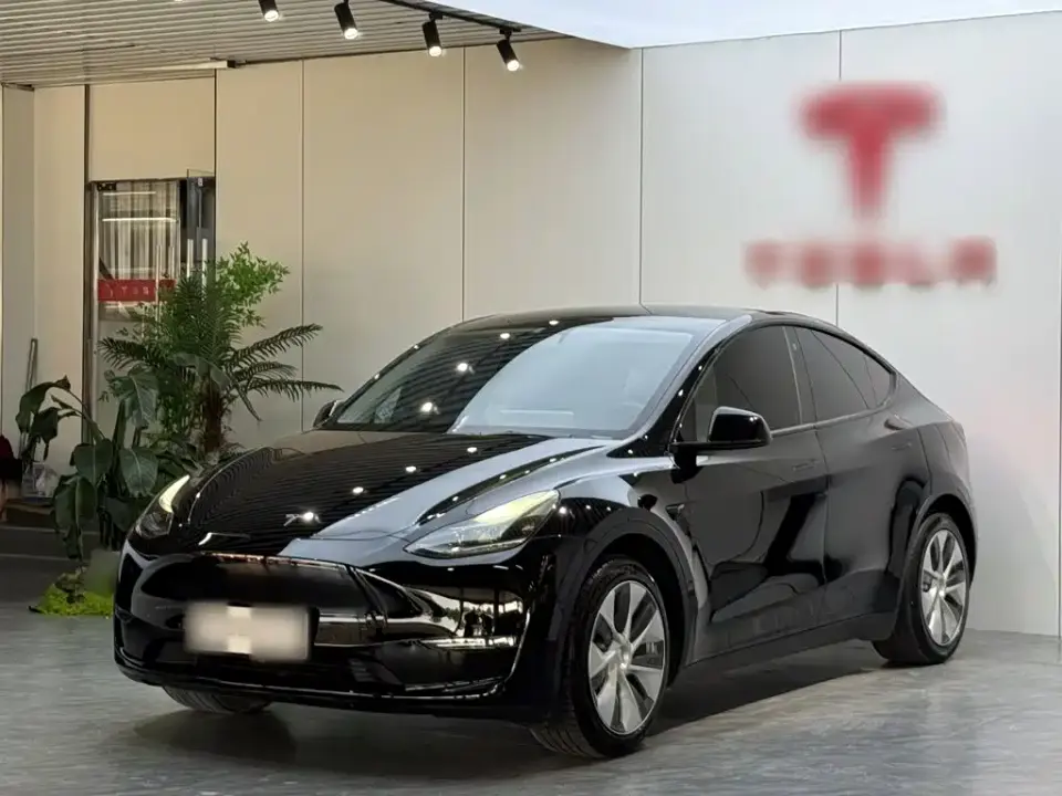 Tesla Model Y Standard Range Rear-Wheel Drive 2022