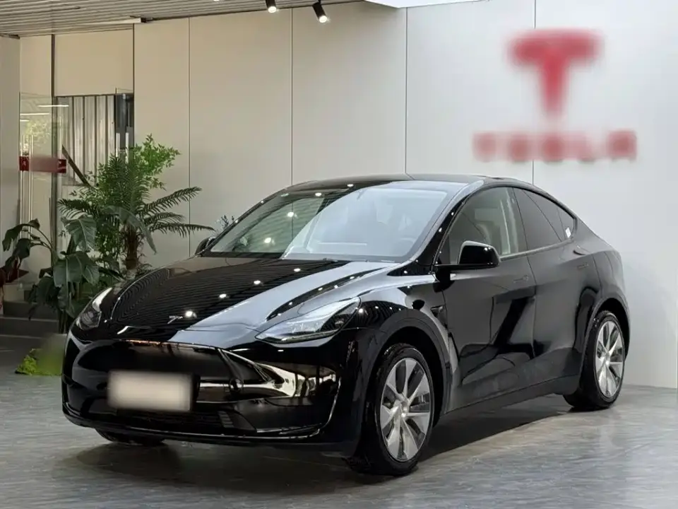 Tesla Model Y Rear-Wheel Drive Version 2022
