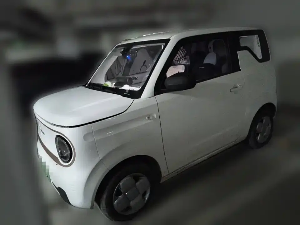 Geely Galaxy Panda Panda mini 200km Endurance Bear 2024
