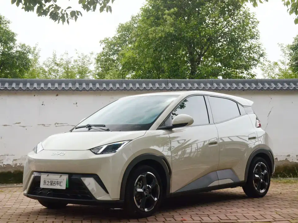 BYD Seagull Glory Edition 405km Soaring Edition 2024