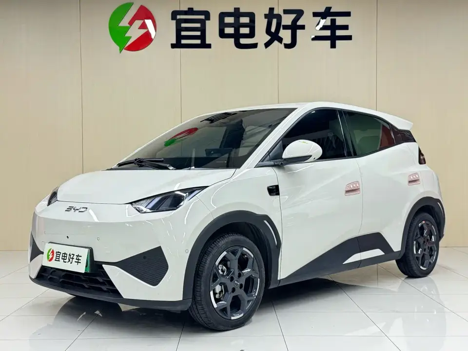 BYD Seagull Smart Drive Edition 305km Freedom Version 2025