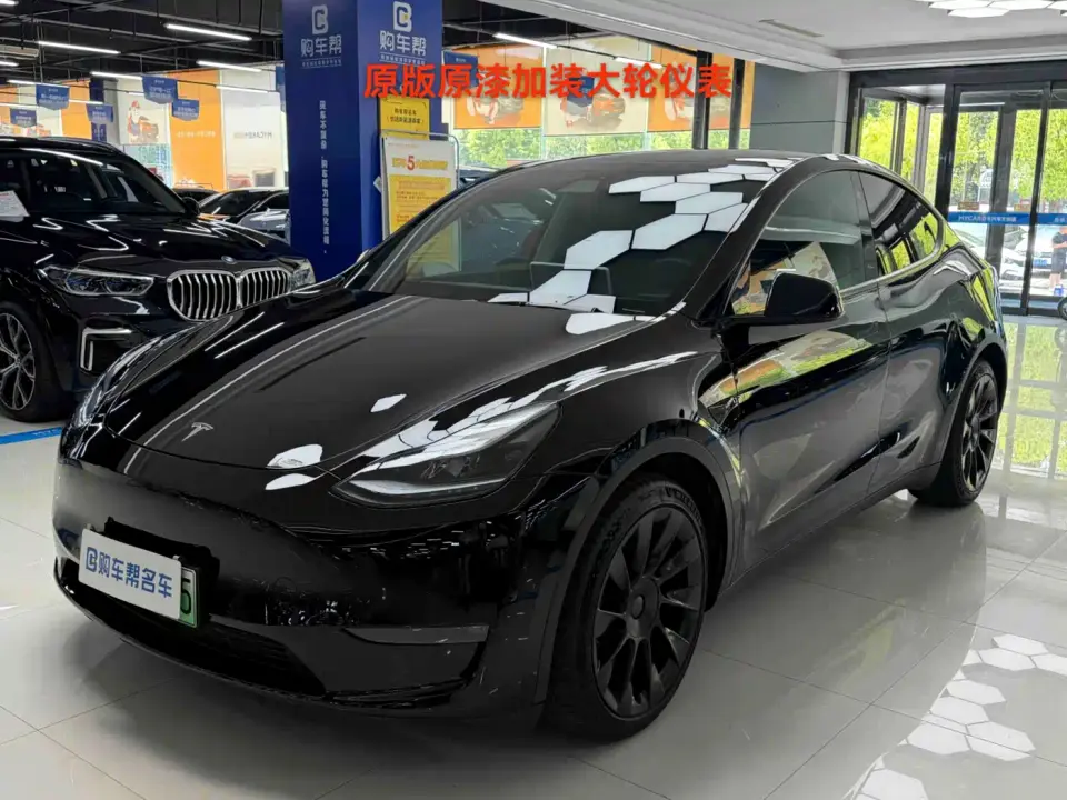 Tesla Model Y Standard Range Rear-Wheel Drive 2021