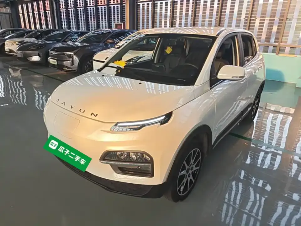 Dayun Yuehu 30.66kWh 2WD VIP Edition 2022