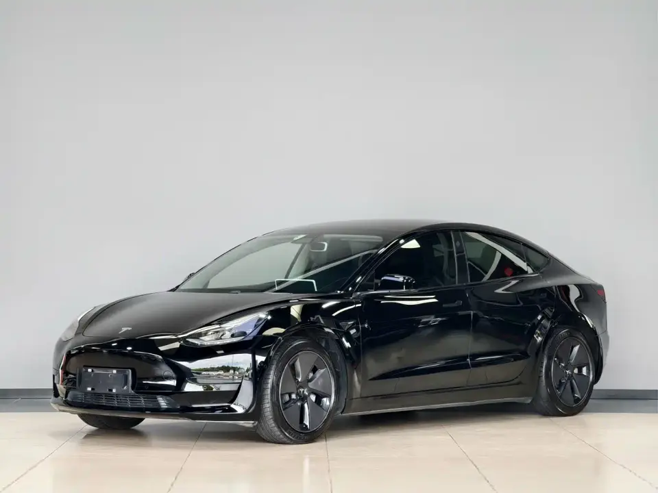 Tesla Model 3 Facelift Standard Range RWD Upgrade 3D1 2021