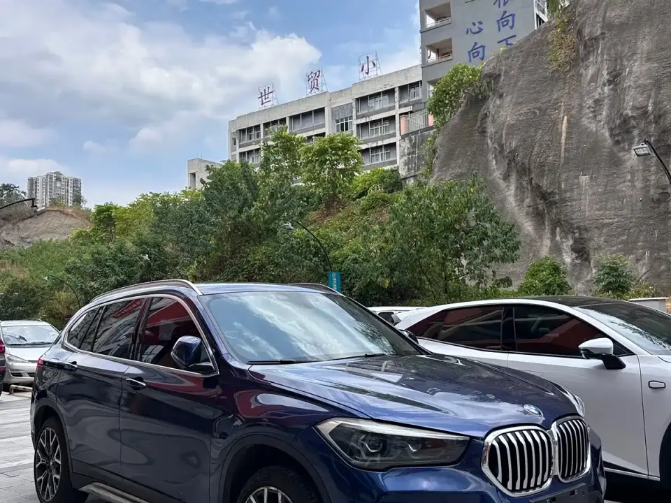 BMW X1 xDrive25Li Premium Edition 2020