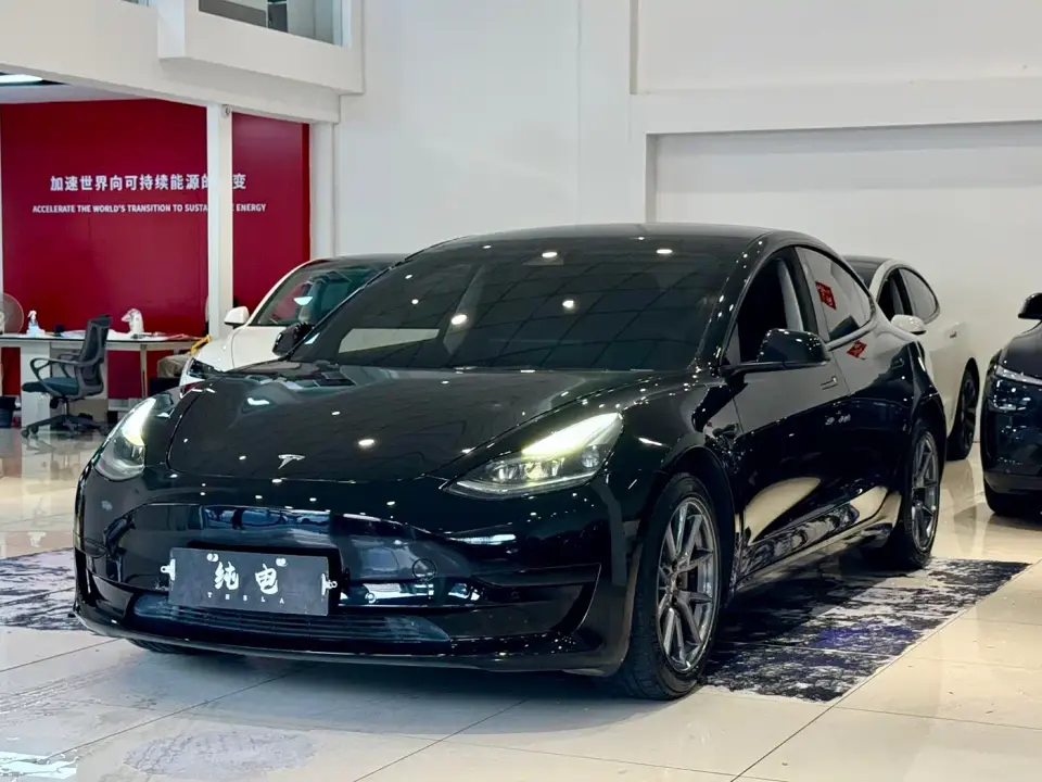 Tesla Model 3 Model Rear-Wheel Drive Version 2022