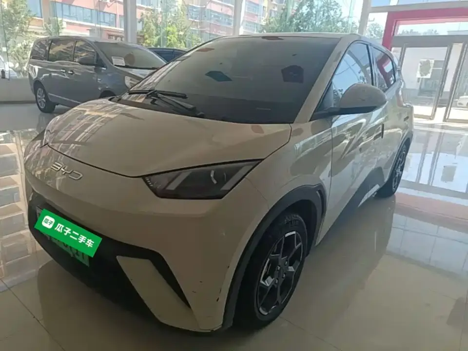 BYD Seagull Vitality Edition 2024