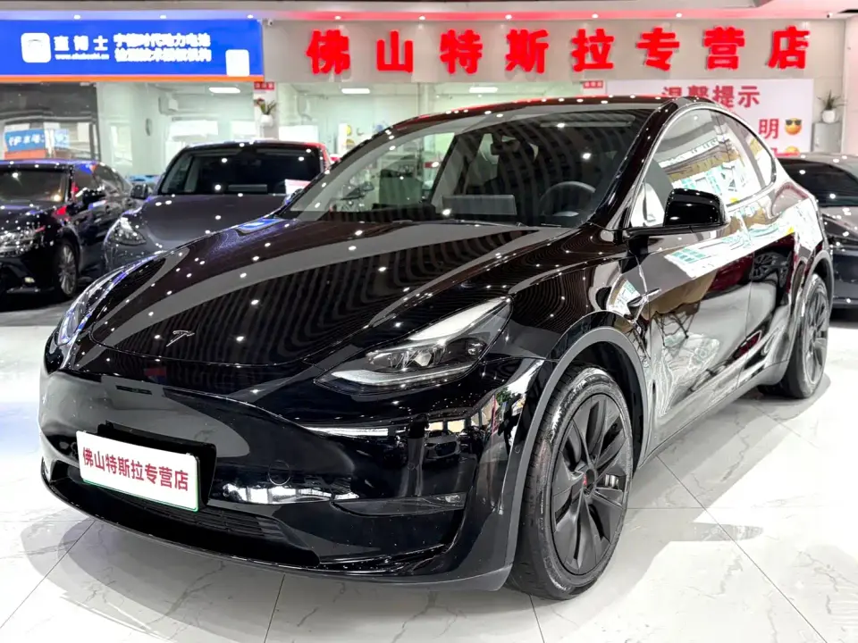 Tesla Model Y Model Long Range AWD 2021