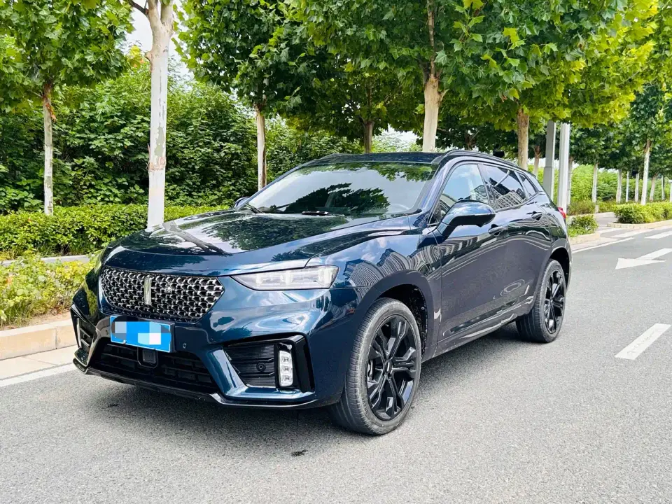 Wey VV7 Model 2.0T Flagship 2019