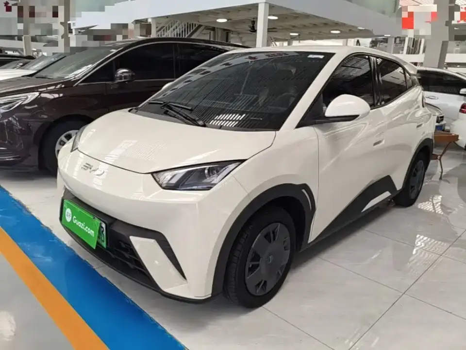 BYD Seagull 305km Vitality 2024