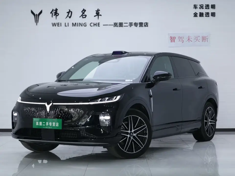 Voyah Auto Voyah Zhiyin Base 2025