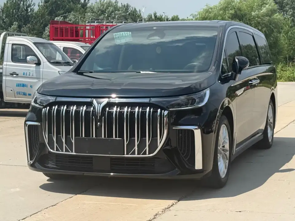 Voyah Auto Voyah Dreamer PHEV Extended Range Premium Edition 2024