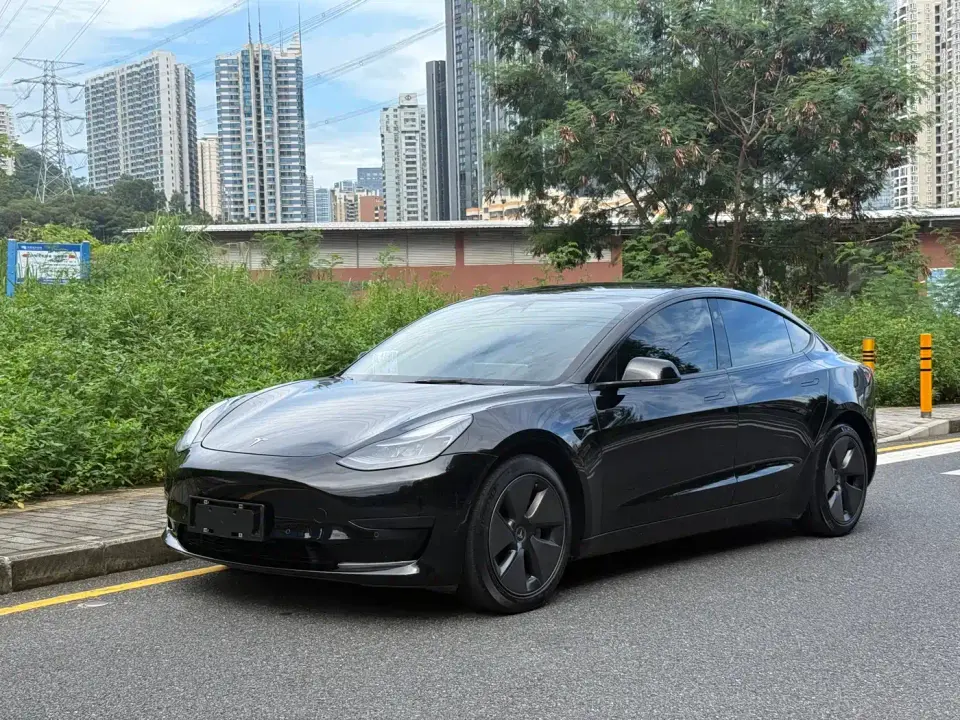 Tesla Model 3 Model Rear-Wheel Drive Version 2023