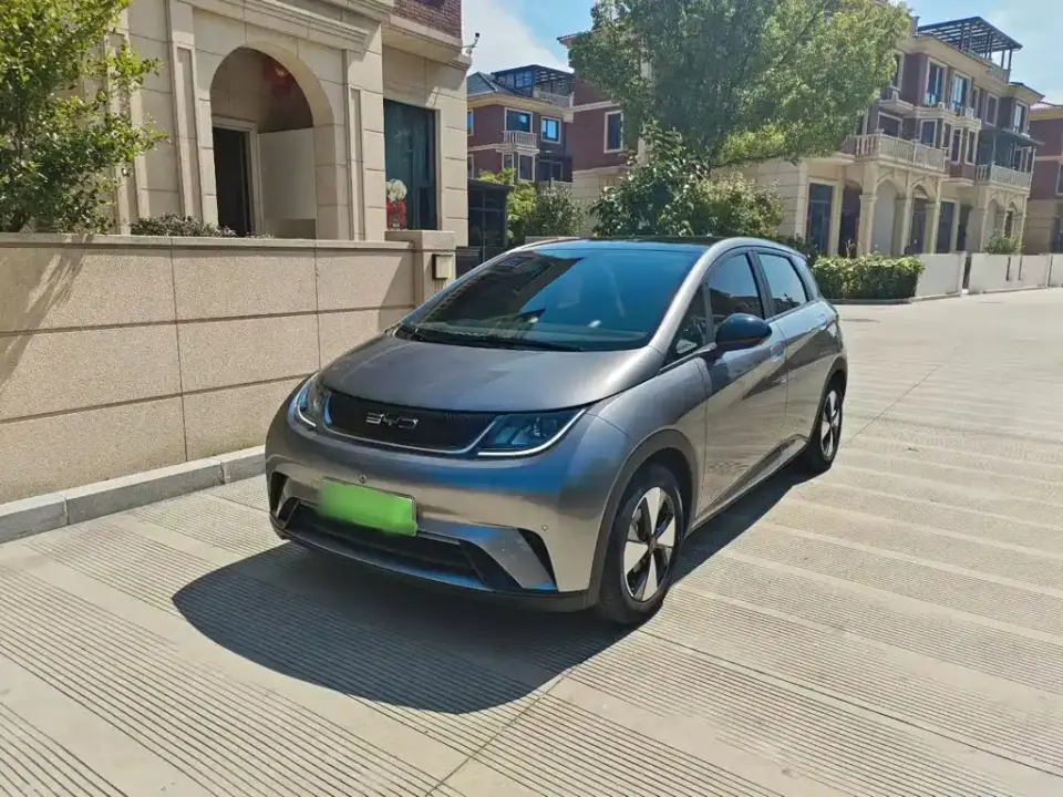 BYD Dolphin 420km Fashion Edition 2024