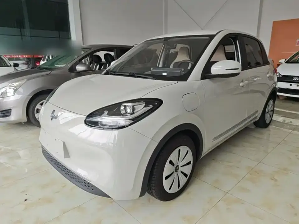 Wuling Motors Wuling Bingo 333km Quick Enjoy Version 2023