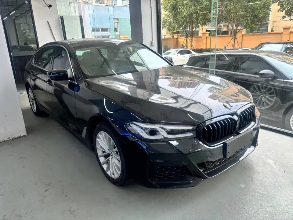 BMW 5 Series 530Li xDrive Luxury Package 2020
