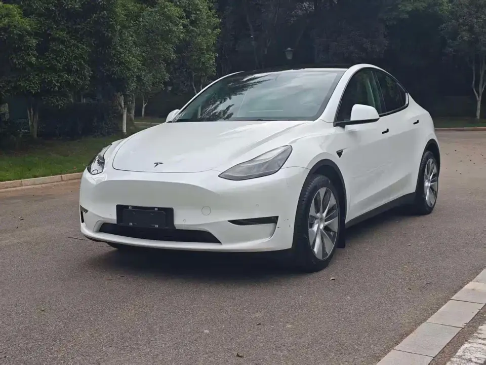 Tesla Model Y Model Long Range AWD 2021