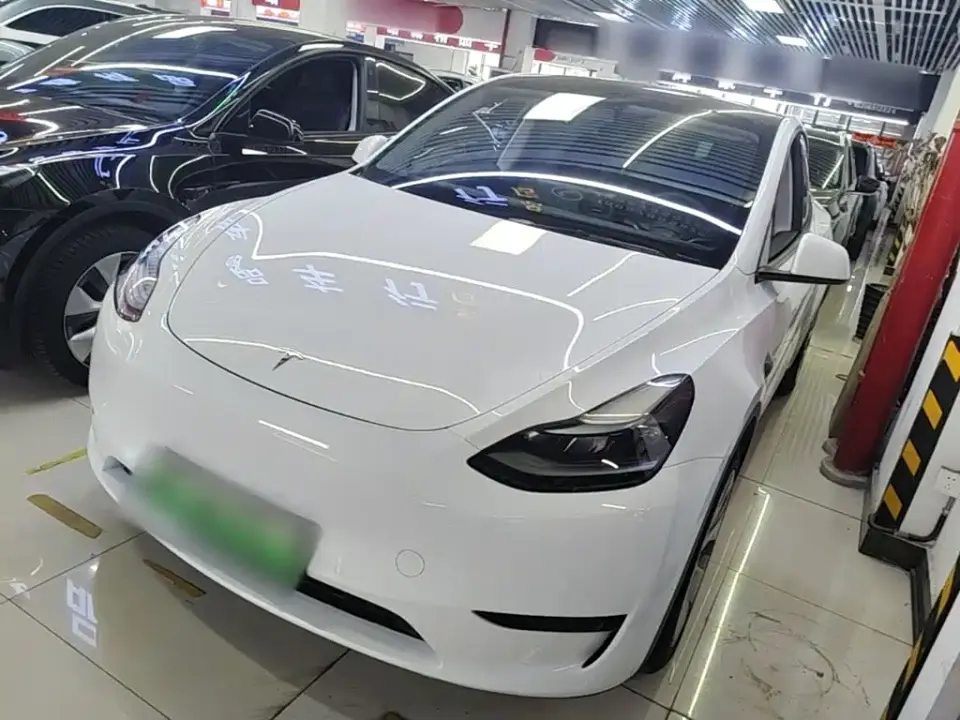 Tesla Model Y Rear-Wheel Drive Version 2022