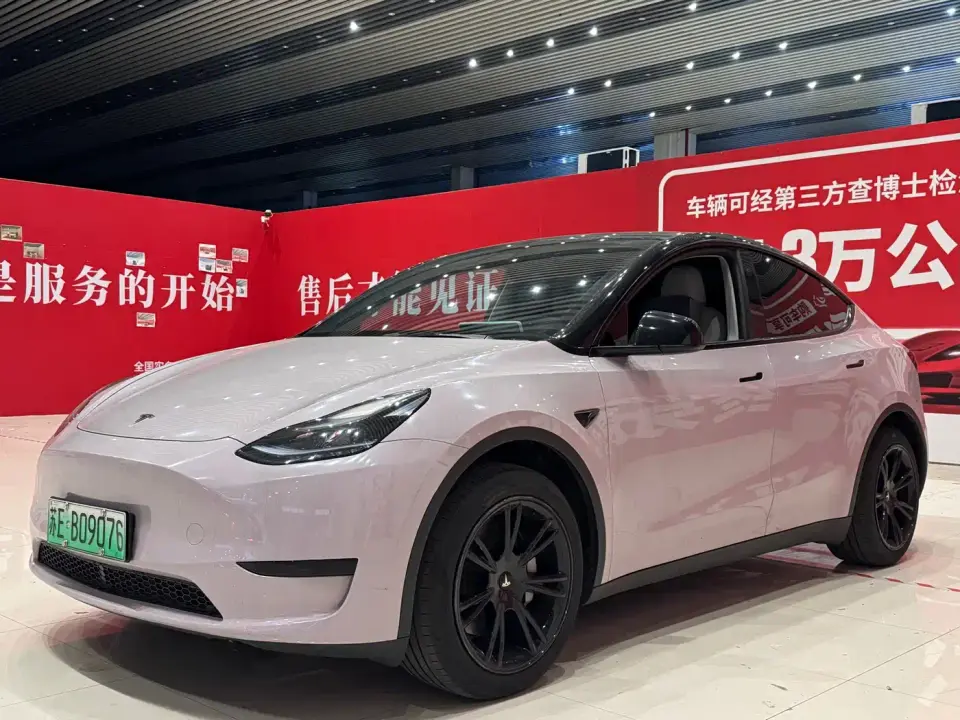 Tesla Model Y Rear-Wheel Drive Version 2024