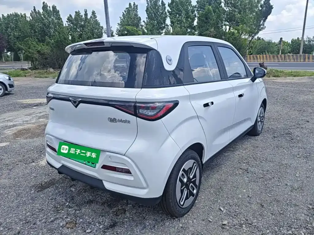 Cowin October Model Mate 300km Wave Rider Edition 2025 — фото 7