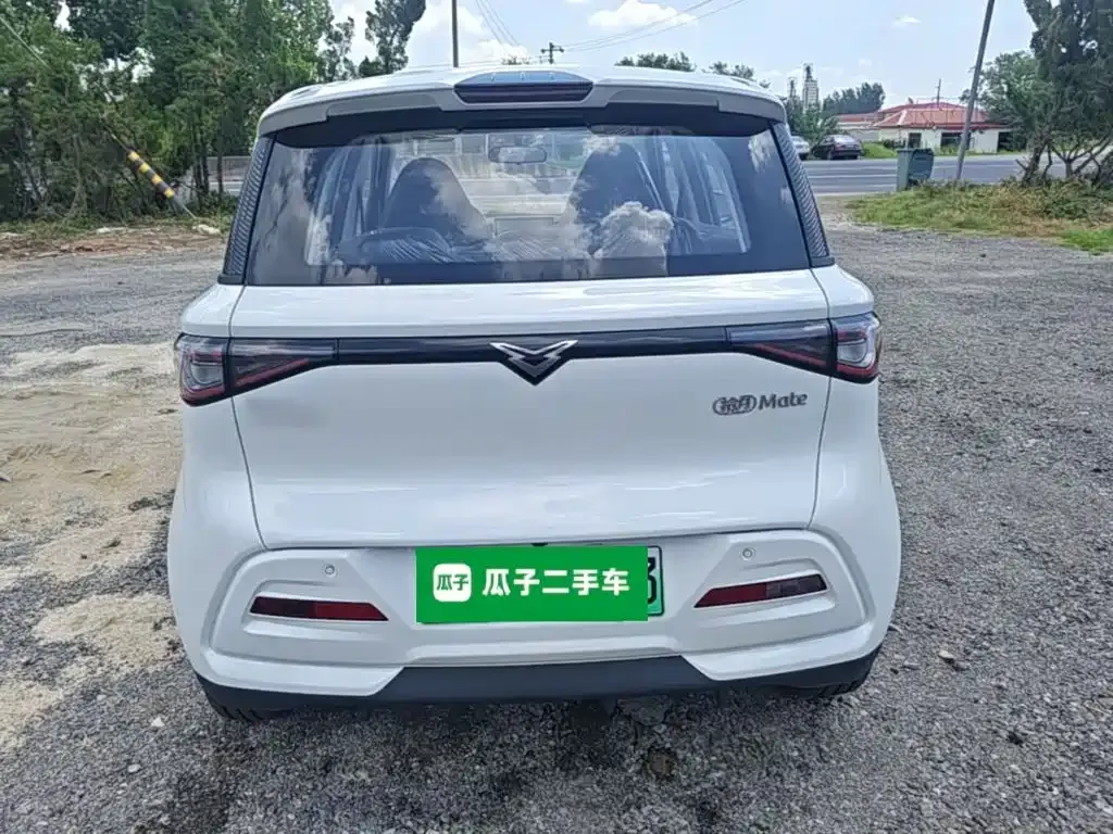 Cowin October Model Mate 300km Wave Rider Edition 2025 — фото 6