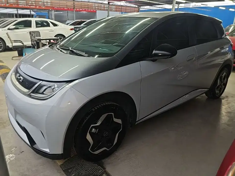 BYD Dolphin 405km Freedom Edition 2022