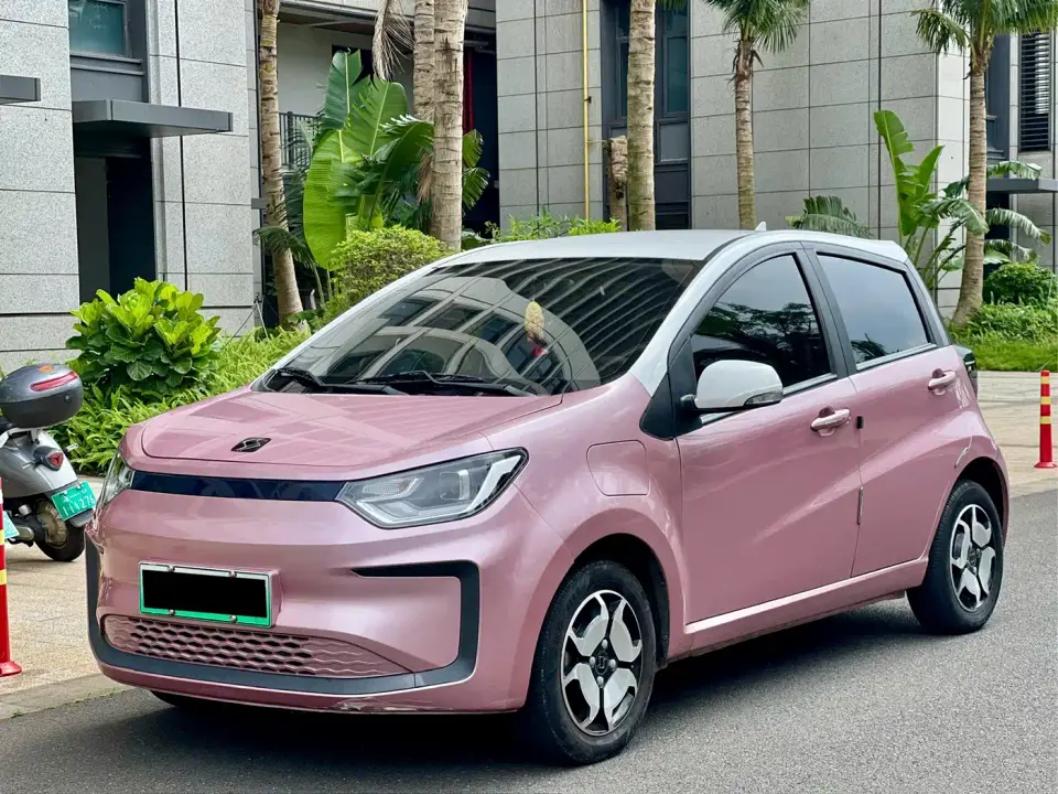Sehol Flower Fairy 302km Luxury 30.2kWh 2021