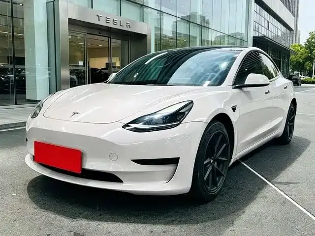 Tesla Model 3 Model Rear-Wheel Drive Version 2022