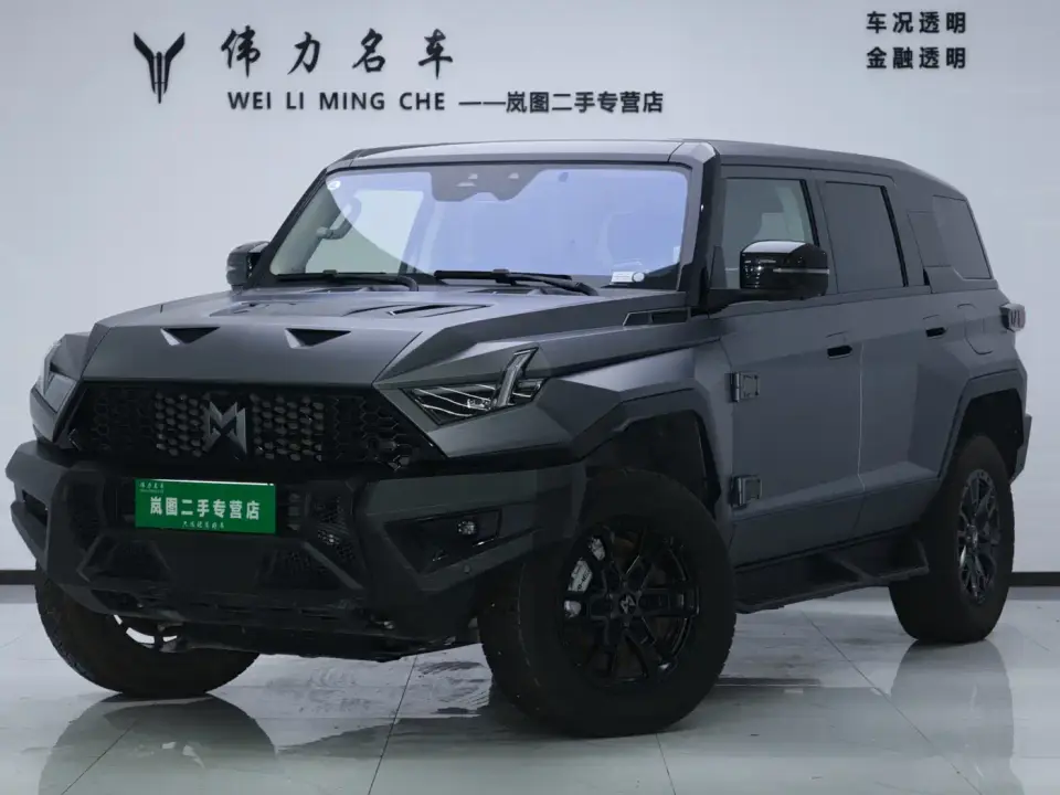 Mengshi 917 Extended Range Base Version 2024