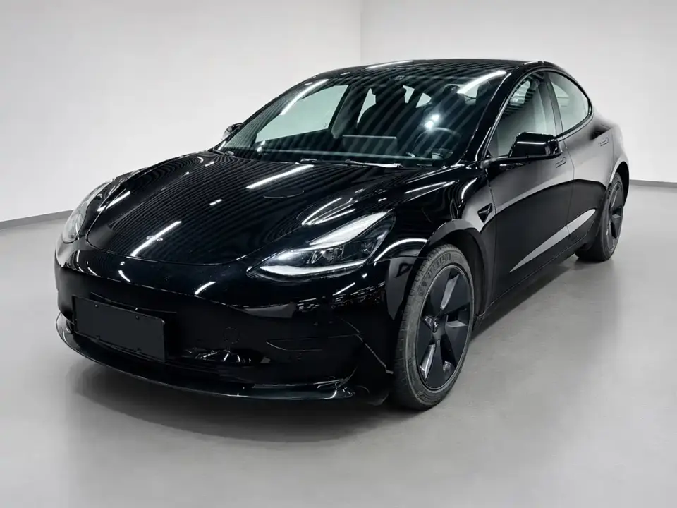 Tesla Model 3 Model Rear-Wheel Drive Version 2022