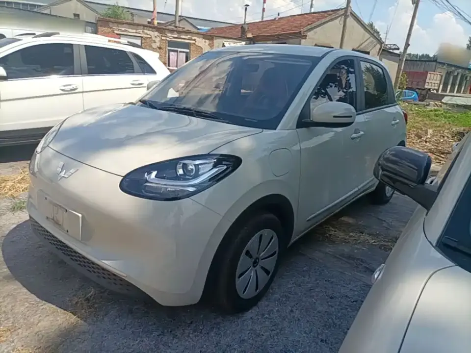 Wuling Motors Wuling Bingo 203km Lite Edition 2024