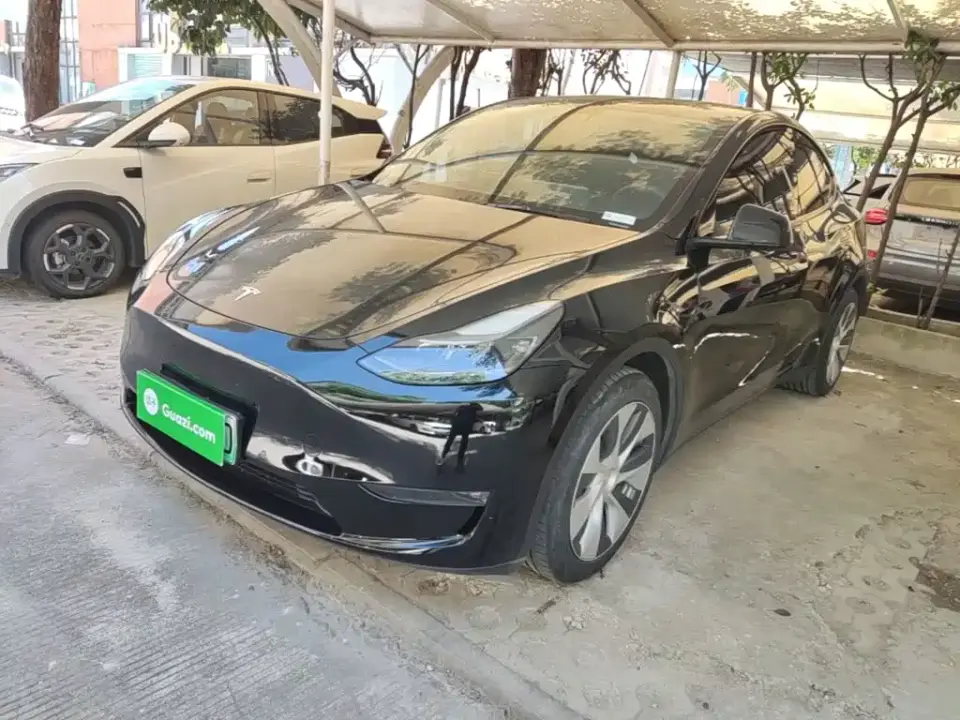 Tesla Model Y Standard Range Rear-Wheel Drive 2021