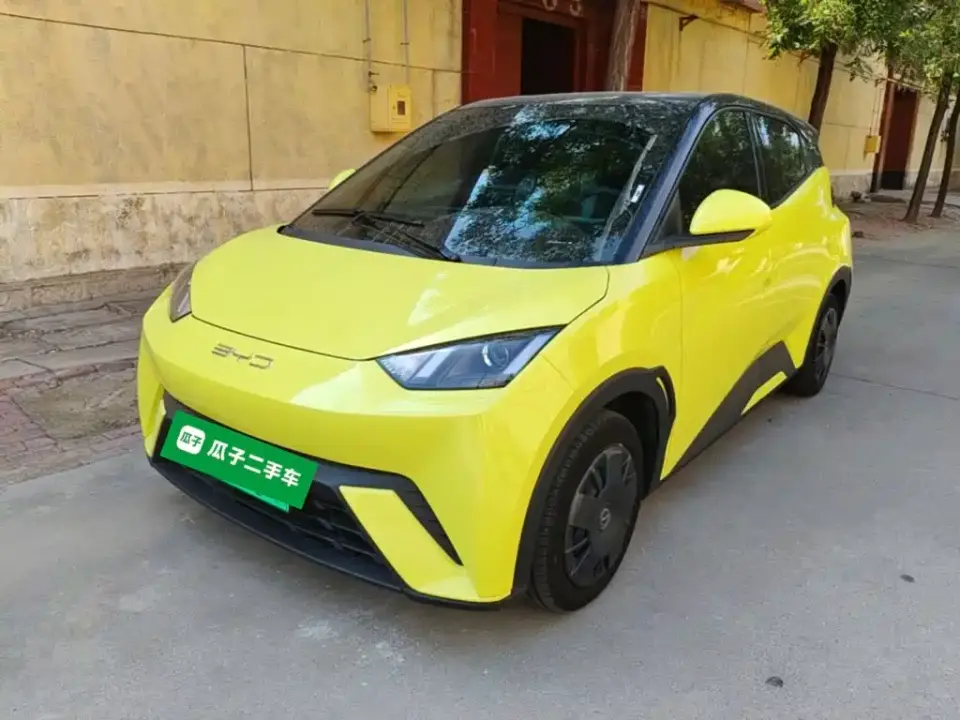 BYD Seagull Glory Edition 305km Vitality Edition 2024