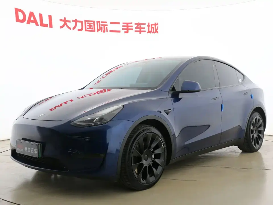 Tesla Model Y Long Range All-Wheel Drive 3D7 2021