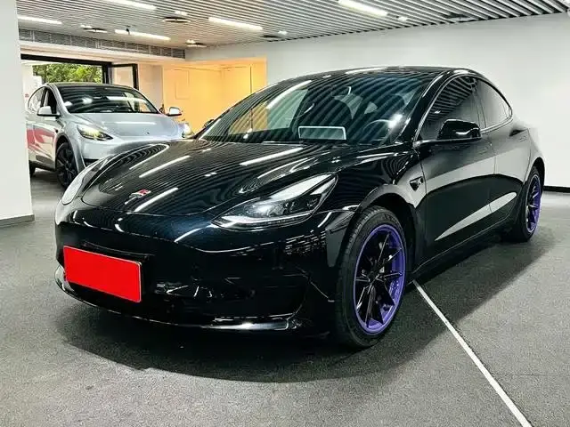 Tesla Model 3 Model Rear-Wheel Drive Version 2022