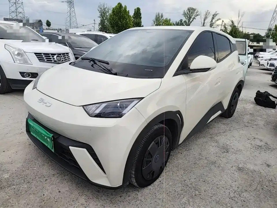BYD Seagull 305km Vitality 2025