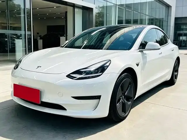 Tesla Model 3 (Import) Long Range RWD Version 2019